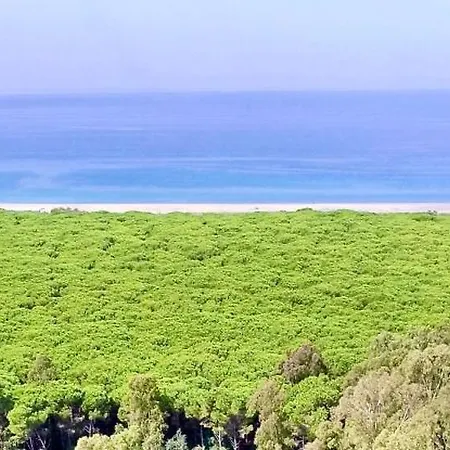 Club One Bed 67g Lejlighed