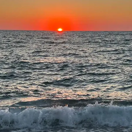 Club One Bed 67g Pizzo (Calabria)