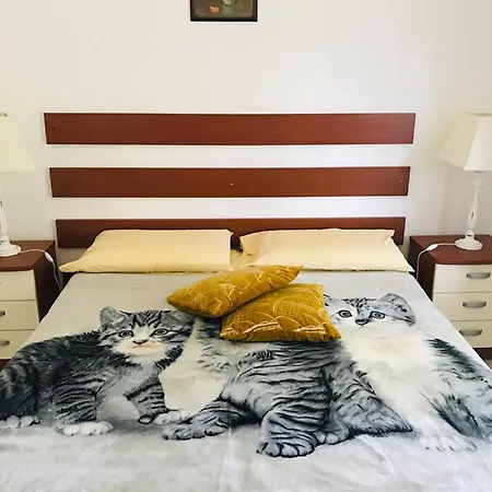 Apartment Club One Bed 67g