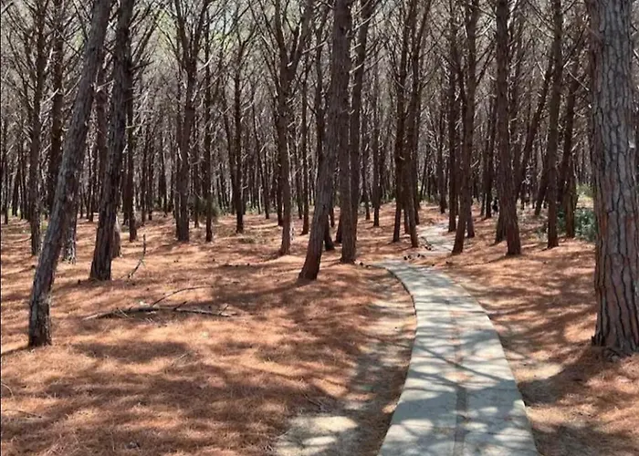 Apartamento Club One Bed 67g